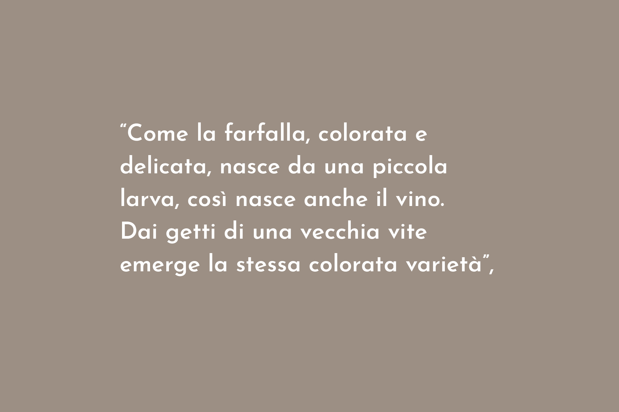 Citazione Bernadette