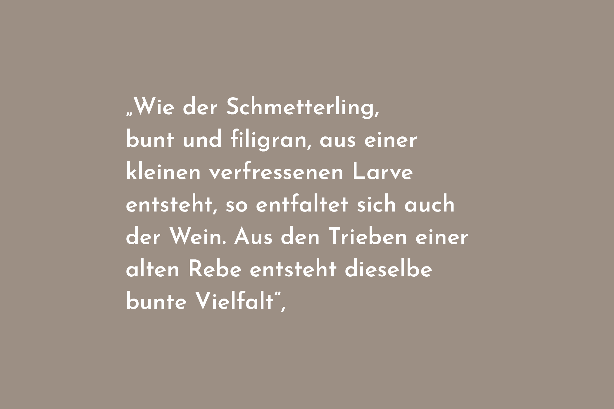 Zitat von Bernadette